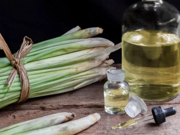 Se débarrasser des punaises de lit naturellement